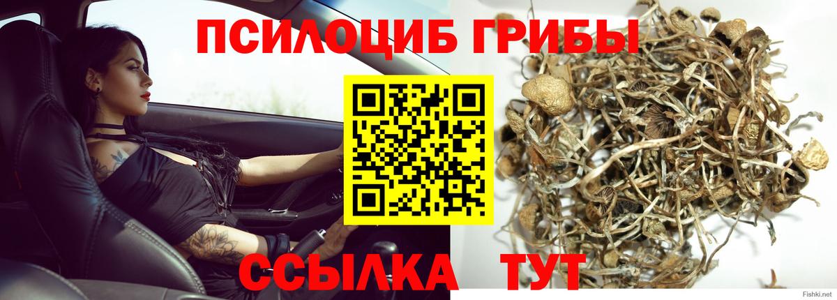 Псилоцибиновые грибы MAGIC MUSHROOMS  Вход с VPN  Галлюциногенные грибы мицелий  Корсаков 