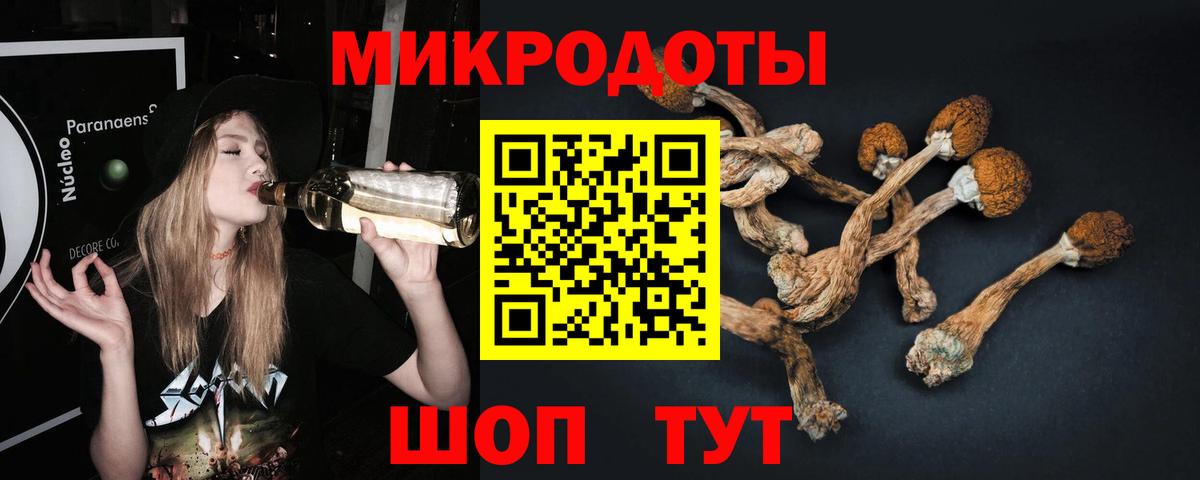Псилоцибиновые грибы мухоморы Корсаков
